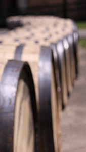 Row of bourbon barrels